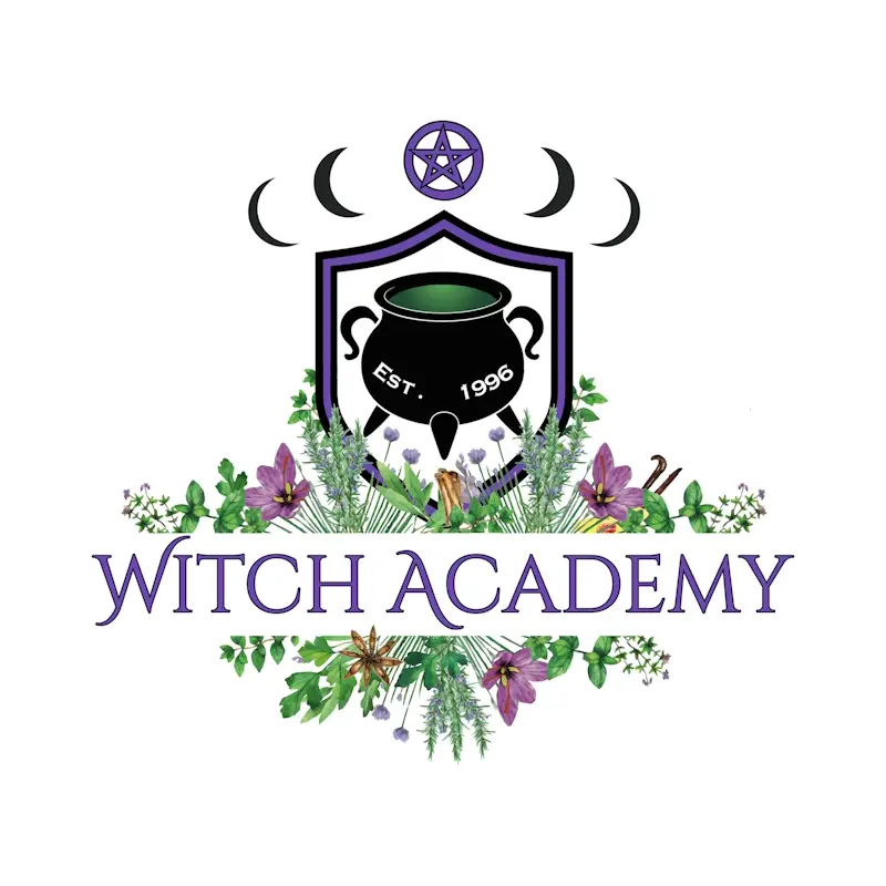 Witch Academy